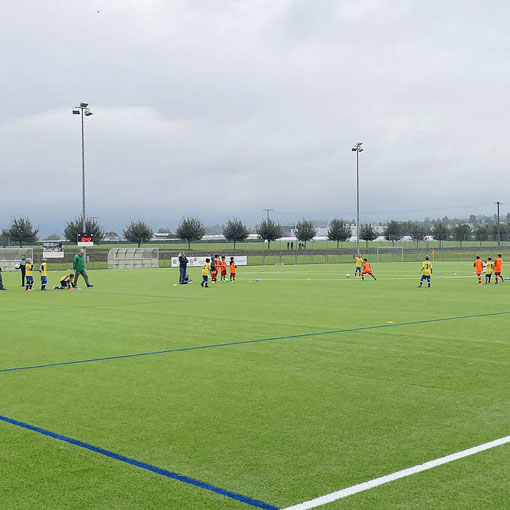 Fussballfelder Natur und Kunstrasen